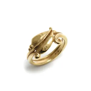 Sushil Ring